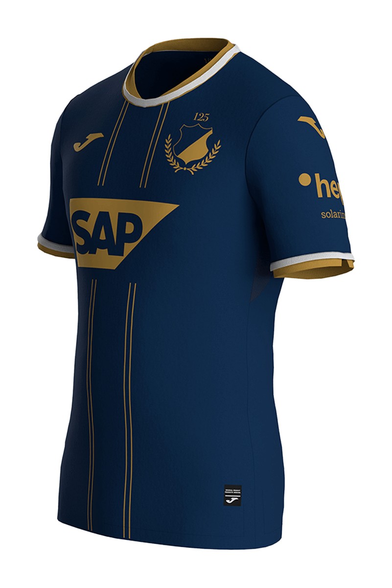 TSG 1899 Hoffenheim 2024-25 Anniversary Kit