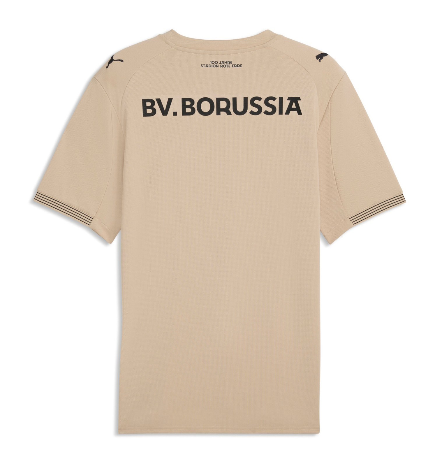 Borussia Dortmund 2025-26 GK Special Kit