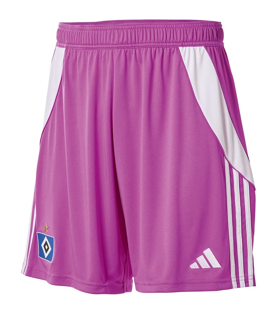 Hamburger SV 2025-26 GK 2 Kit